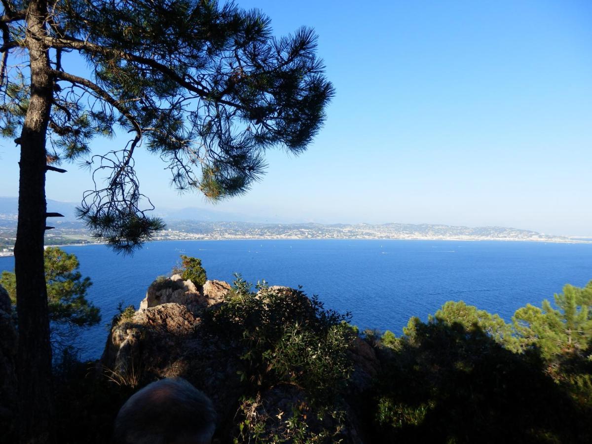 Esterel Terrasses, Roof Top, Plage, Parking Payant Канни Екстер'єр фото